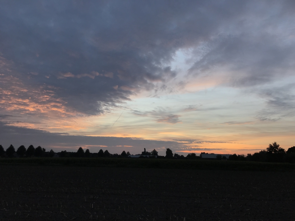 holoistische therapie IMG 3156